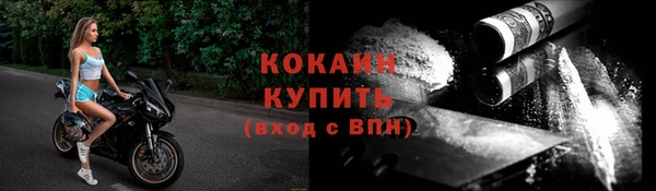 дживик Видное