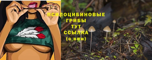 дмт Остров